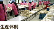 生産体制