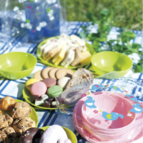 Colorful Safari ピクニックプレートセット