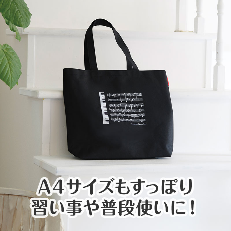 A4サイズの書類がすっぽり入ります