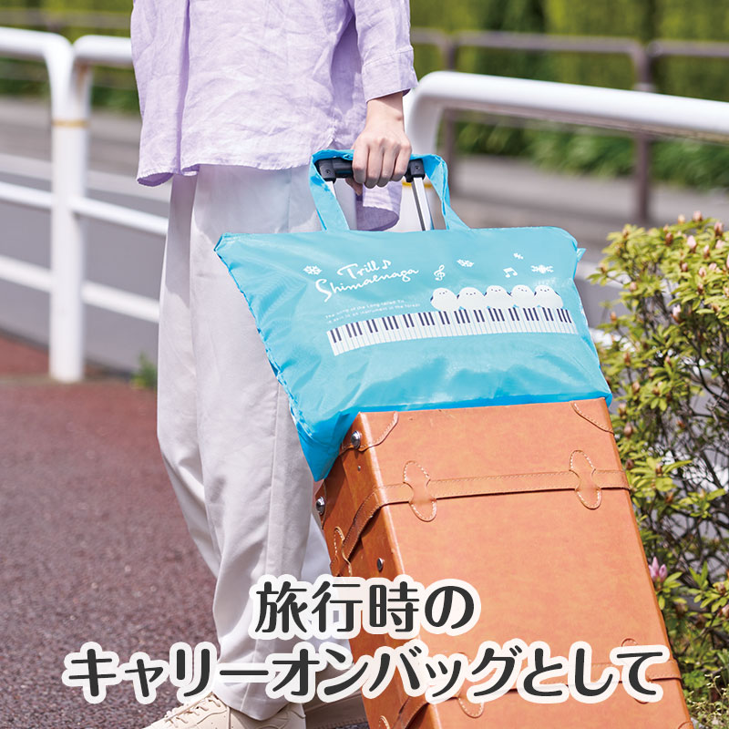 キャリーオンバッグとして!