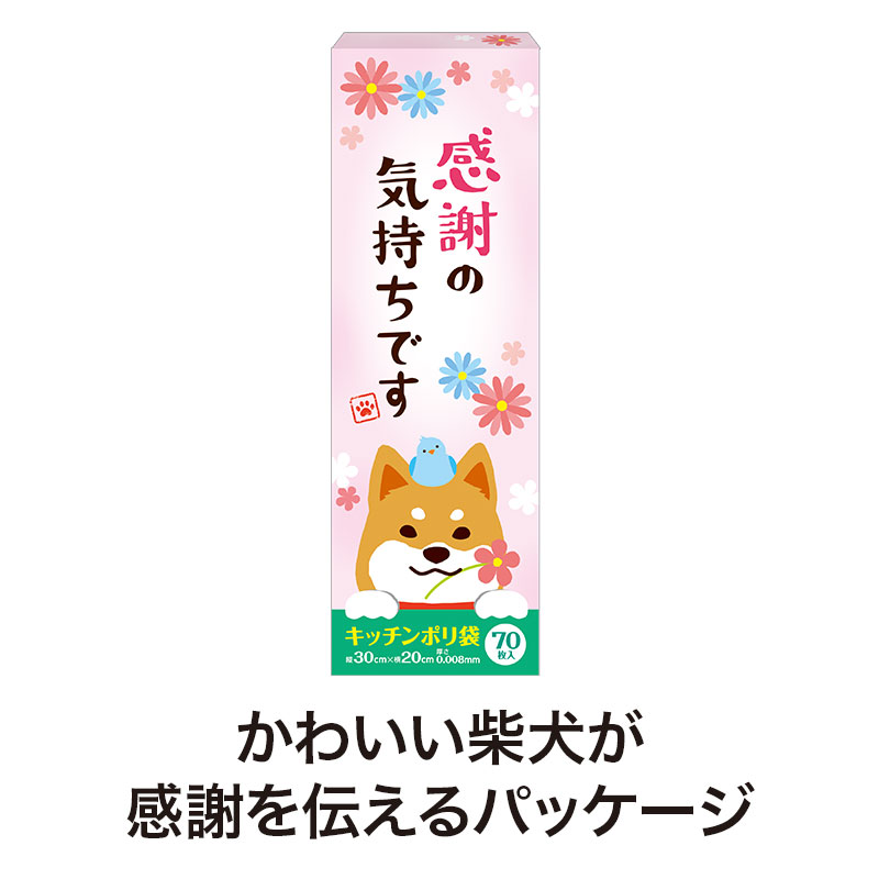 柴犬が気持ちを伝えます