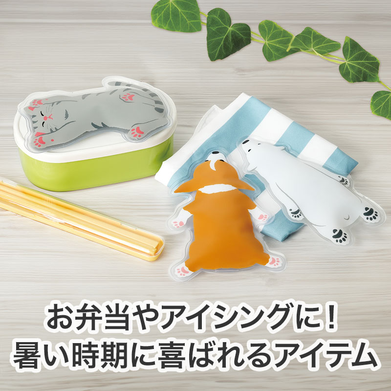 食中毒予防やアイシングに