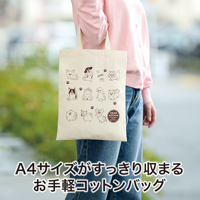 A4サイズが入る大きさです