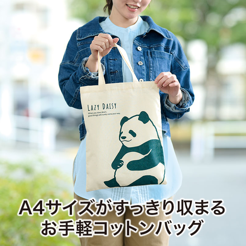 A4サイズが入る大きさです