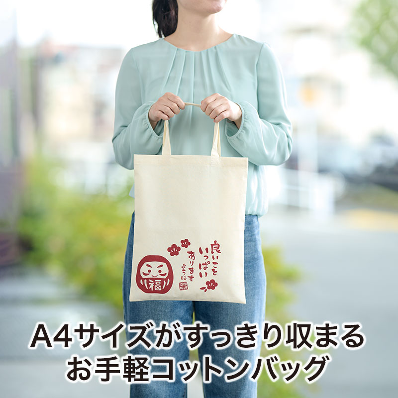 A4サイズが入る大きさです