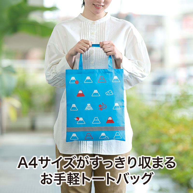 A4サイズが入る大きさです