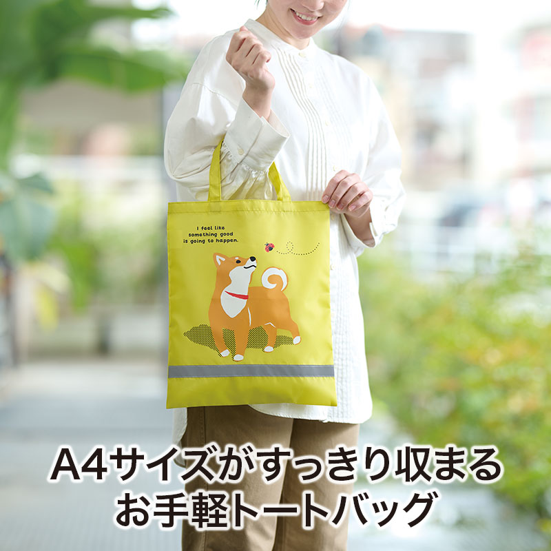A4サイズが入る大きさです