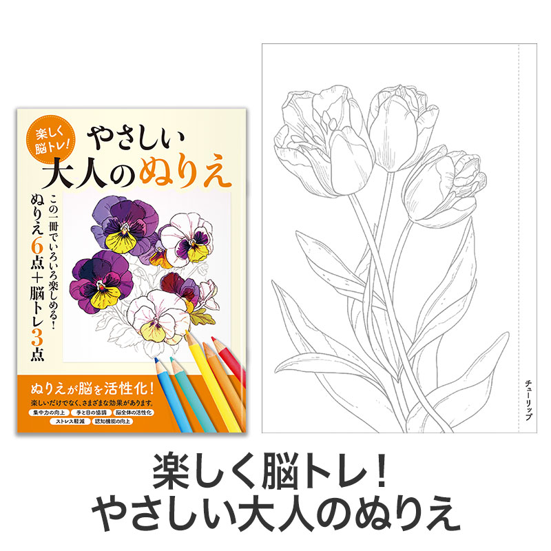 楽しく脳トレ！やさしい大人のぬりえ