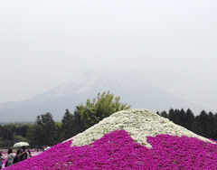 img227_4.jpg