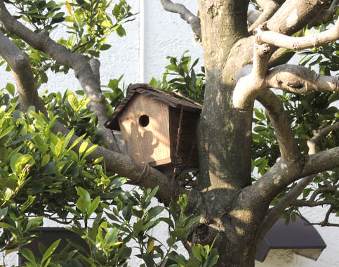 力匠部屋～「鳥小屋」