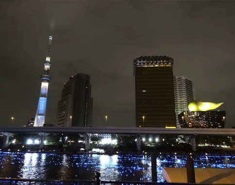 力匠部屋～「東京ホタル」