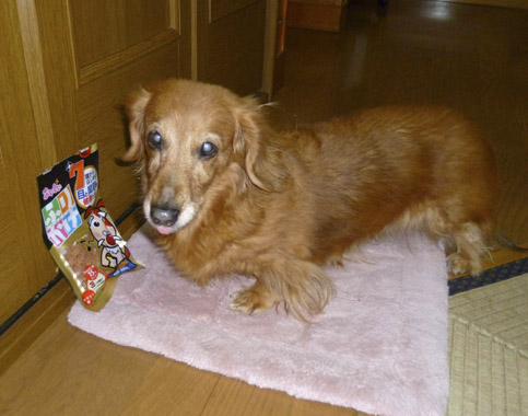 力匠部屋～「ついに犯人逮捕！」