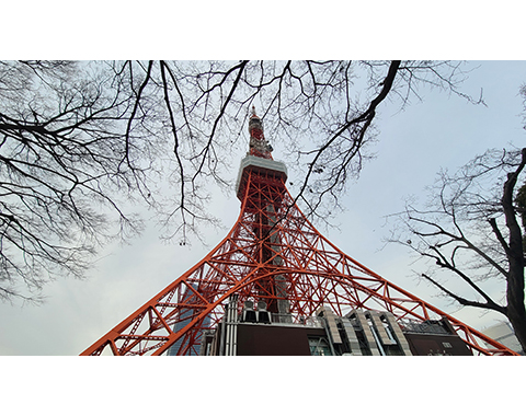 力匠部屋～「久しぶりの東京タワー」