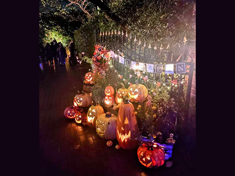 力匠部屋～「ハロウィンディスプレイ＠横浜イングリッシュガーデン」