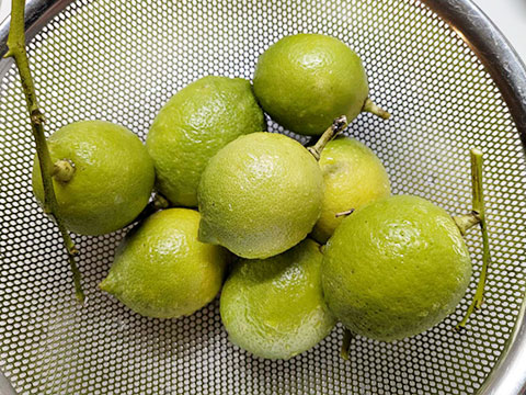 力匠部屋~「今年の実り~2025~」