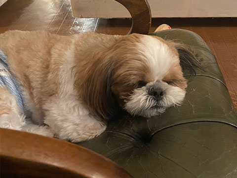 力匠部屋～「お誕生日旅行」