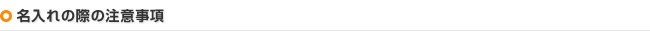 名入れの際の注意事項